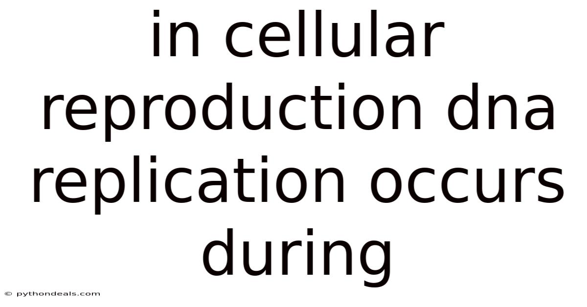 In Cellular Reproduction Dna Replication Occurs During