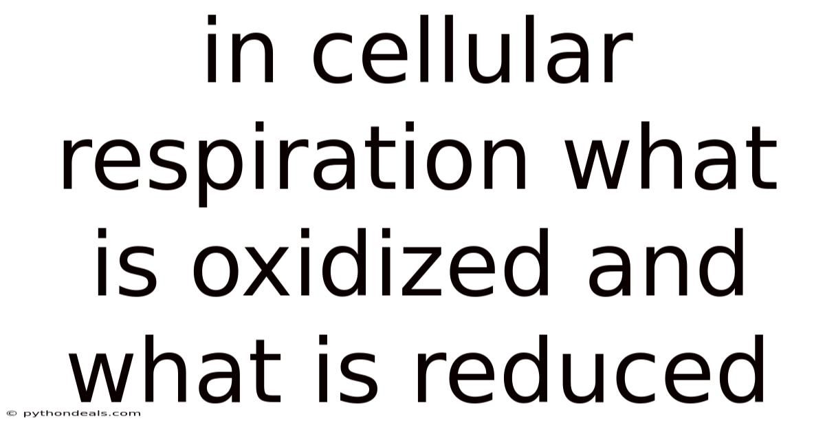 In Cellular Respiration What Is Oxidized And What Is Reduced