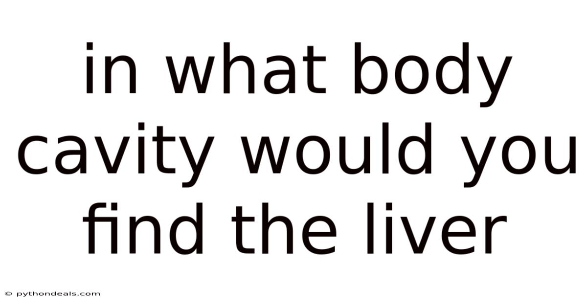 In What Body Cavity Would You Find The Liver