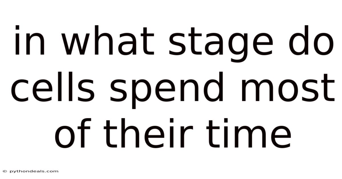 In What Stage Do Cells Spend Most Of Their Time