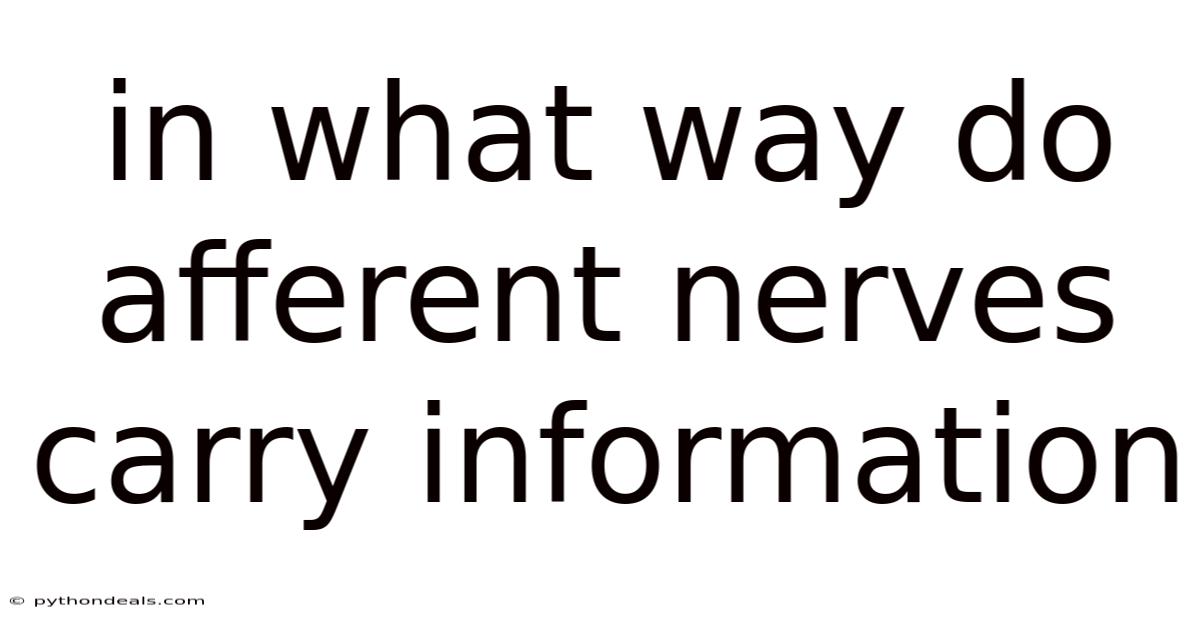 In What Way Do Afferent Nerves Carry Information