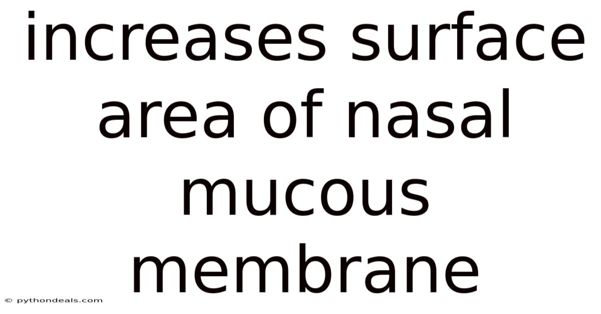 Increases Surface Area Of Nasal Mucous Membrane