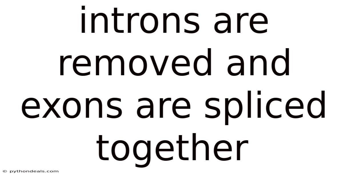 Introns Are Removed And Exons Are Spliced Together