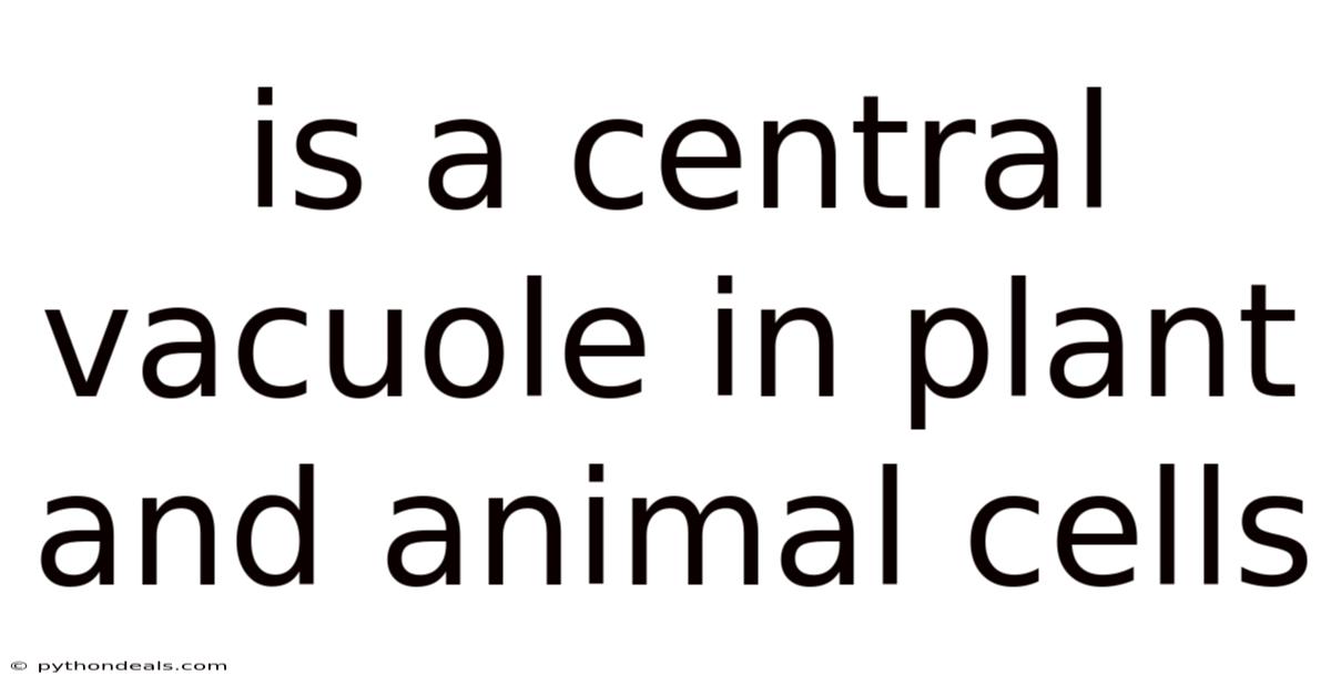 Is A Central Vacuole In Plant And Animal Cells
