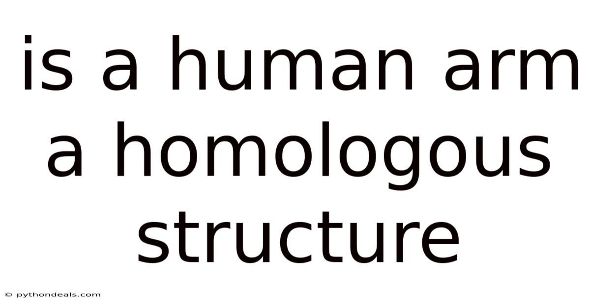 Is A Human Arm A Homologous Structure