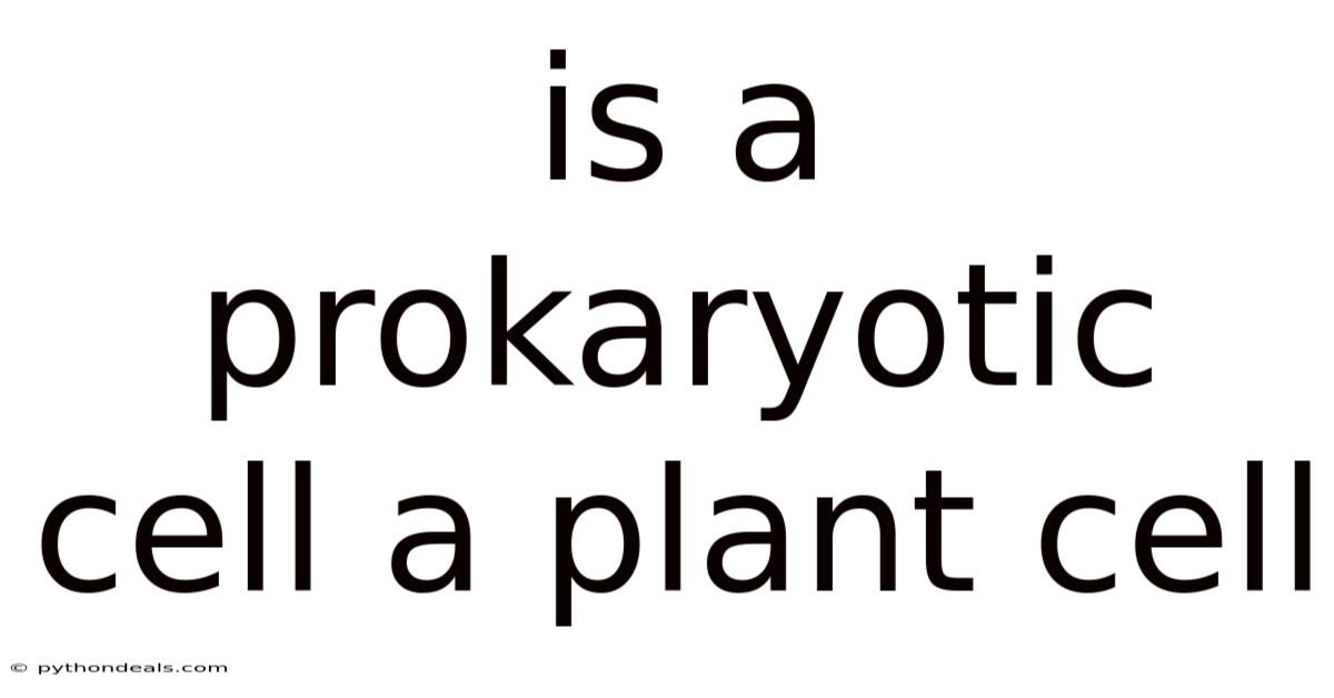 Is A Prokaryotic Cell A Plant Cell