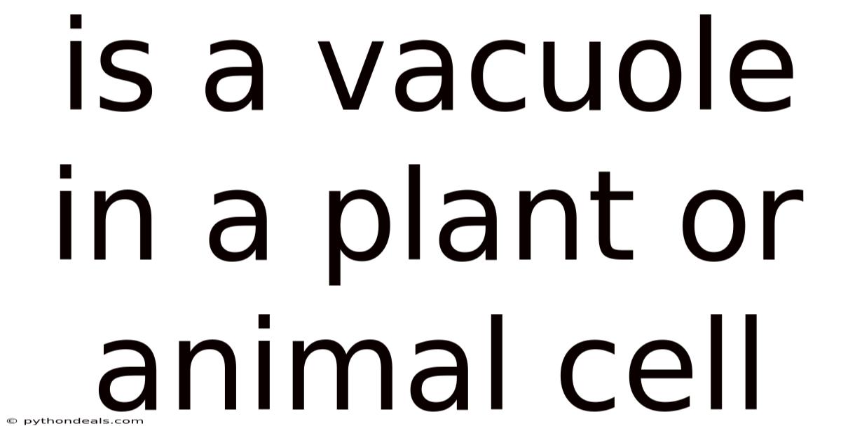 Is A Vacuole In A Plant Or Animal Cell