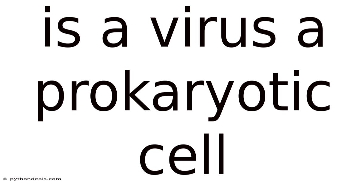 Is A Virus A Prokaryotic Cell