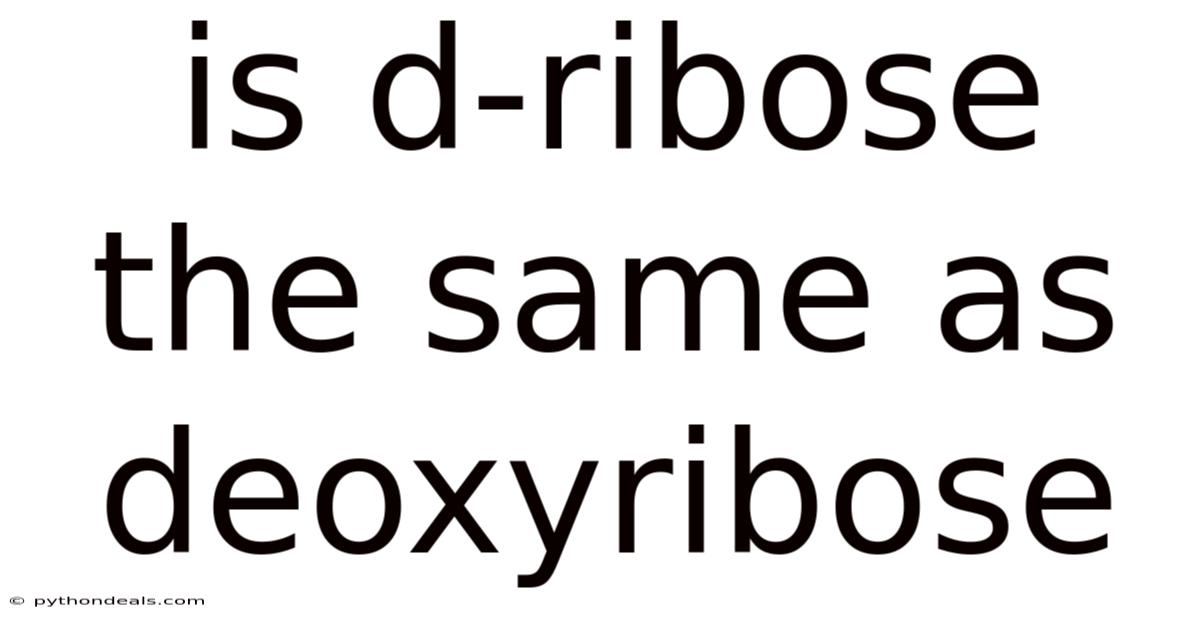 Is D-ribose The Same As Deoxyribose