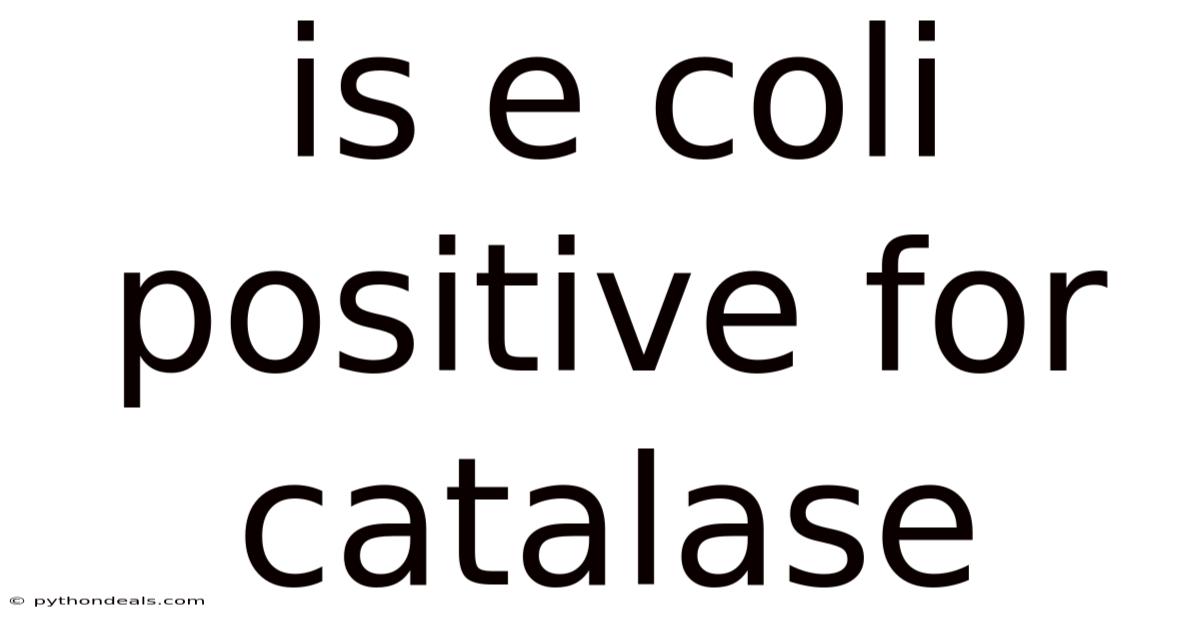 Is E Coli Positive For Catalase