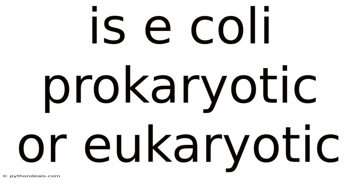 Is E Coli Prokaryotic Or Eukaryotic