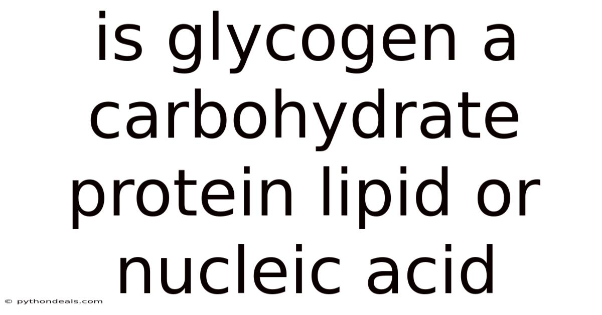 Is Glycogen A Carbohydrate Protein Lipid Or Nucleic Acid