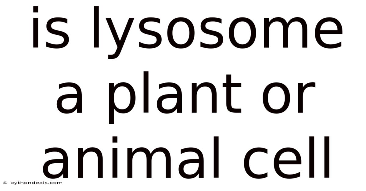 Is Lysosome A Plant Or Animal Cell