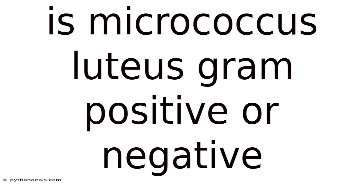 Is Micrococcus Luteus Gram Positive Or Negative