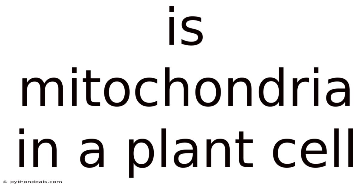Is Mitochondria In A Plant Cell