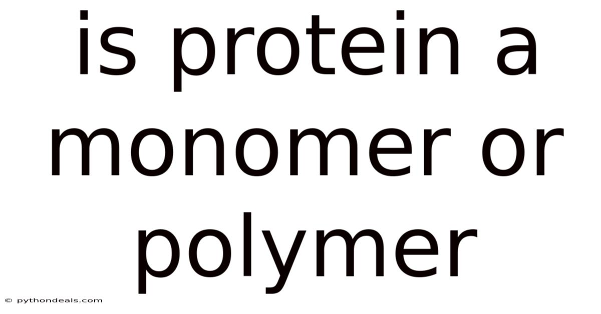 Is Protein A Monomer Or Polymer