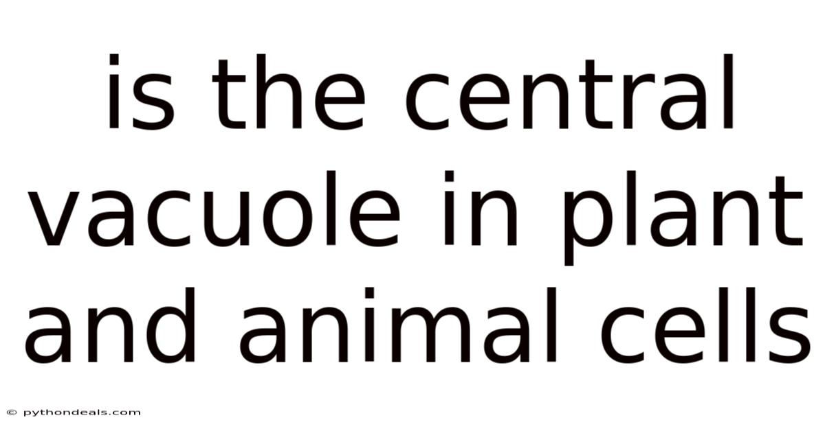 Is The Central Vacuole In Plant And Animal Cells