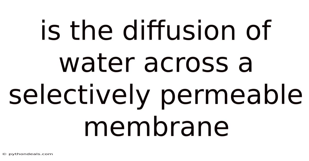 Is The Diffusion Of Water Across A Selectively Permeable Membrane
