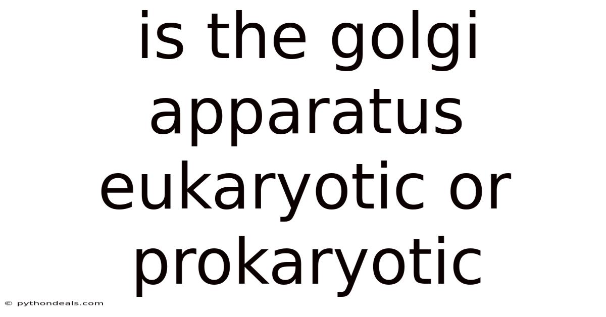 Is The Golgi Apparatus Eukaryotic Or Prokaryotic