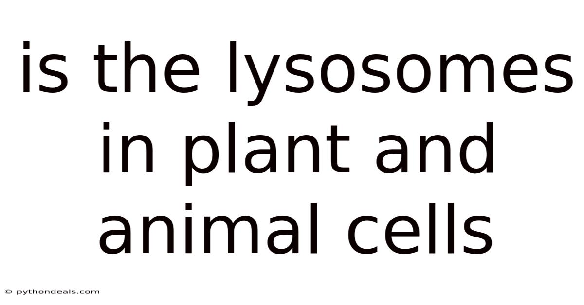 Is The Lysosomes In Plant And Animal Cells
