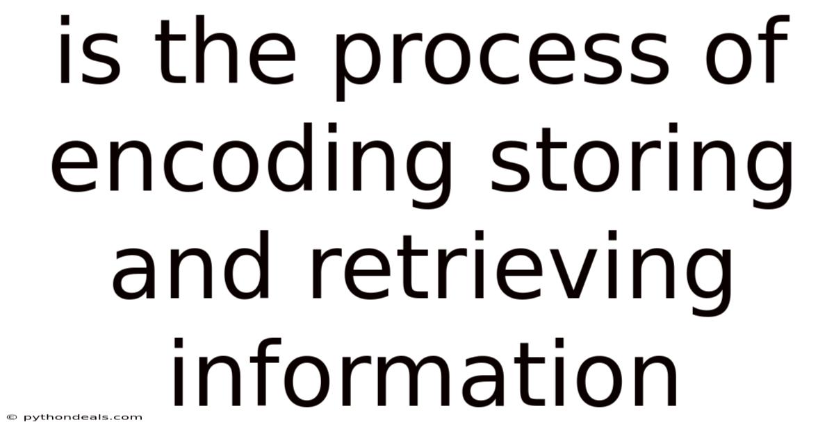 Is The Process Of Encoding Storing And Retrieving Information