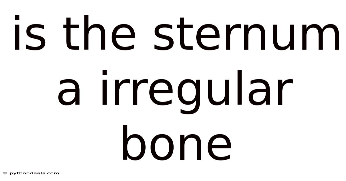 Is The Sternum A Irregular Bone