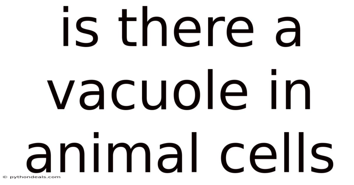 Is There A Vacuole In Animal Cells