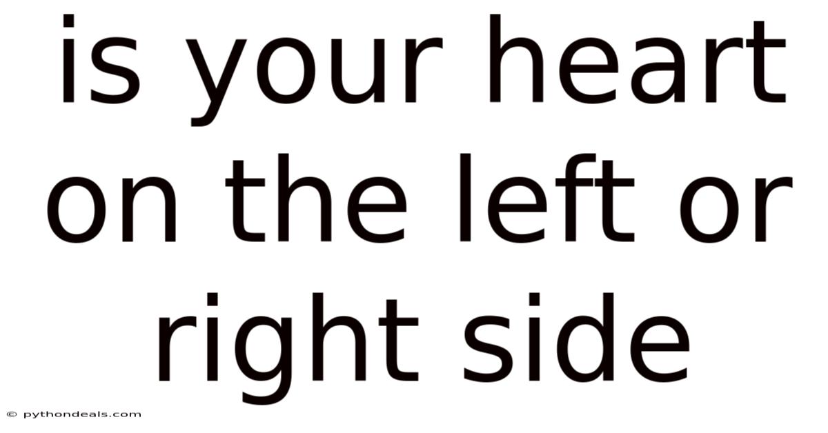Is Your Heart On The Left Or Right Side