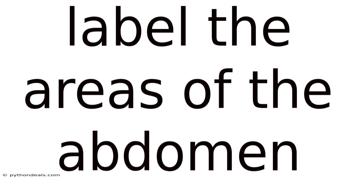 Label The Areas Of The Abdomen