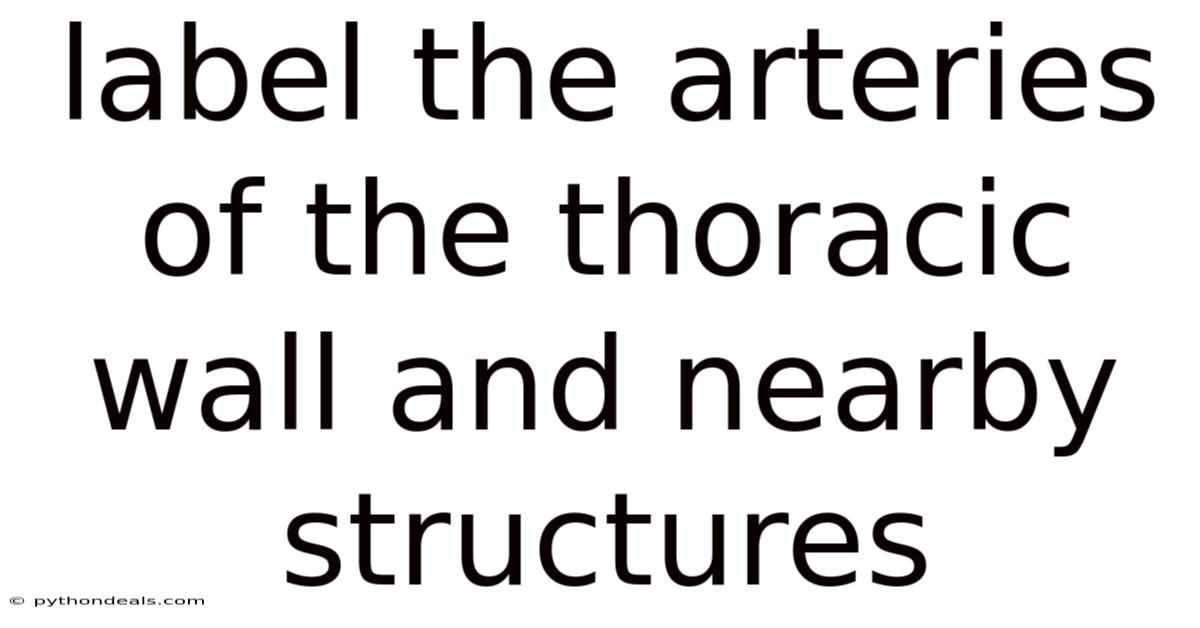 Label The Arteries Of The Thoracic Wall And Nearby Structures