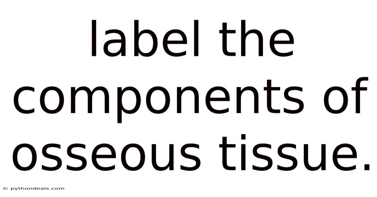 Label The Components Of Osseous Tissue.