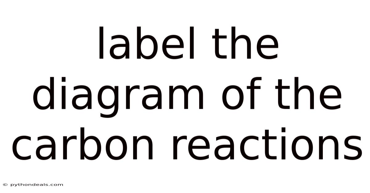 Label The Diagram Of The Carbon Reactions