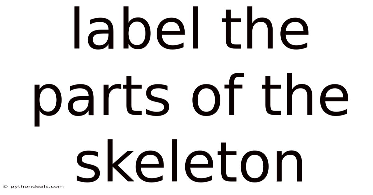 Label The Parts Of The Skeleton