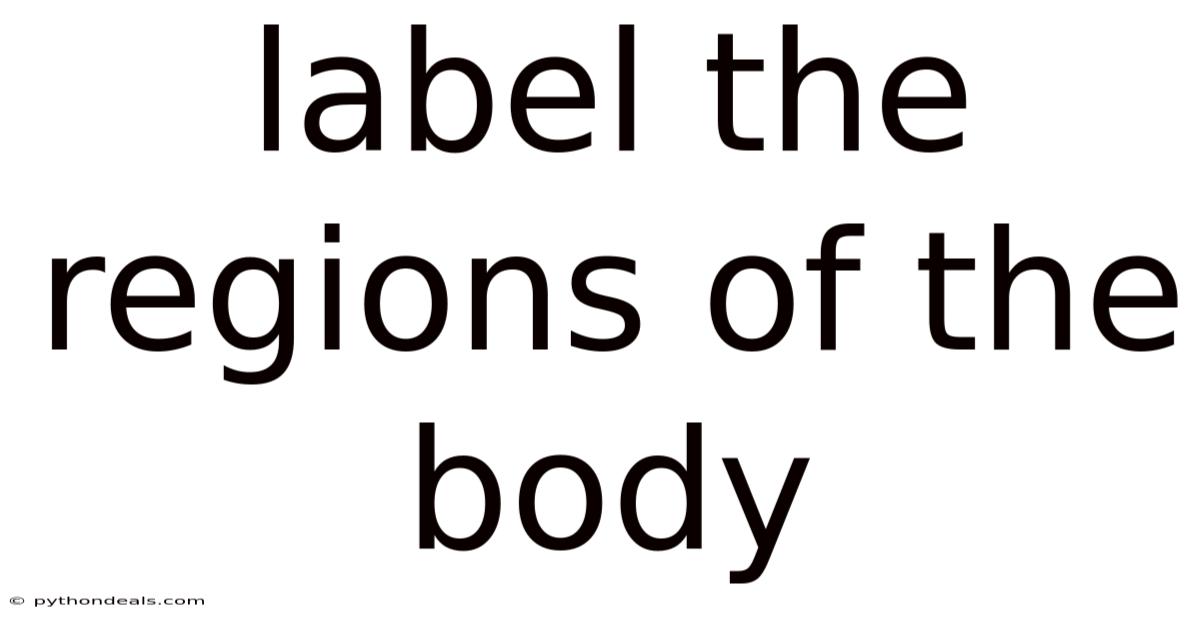Label The Regions Of The Body