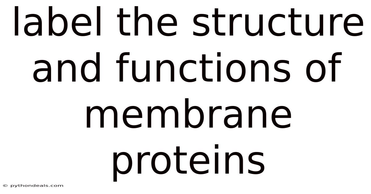 Label The Structure And Functions Of Membrane Proteins