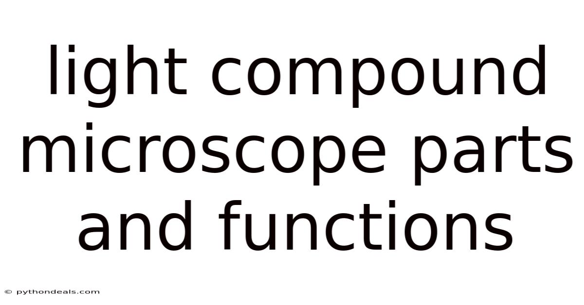 Light Compound Microscope Parts And Functions