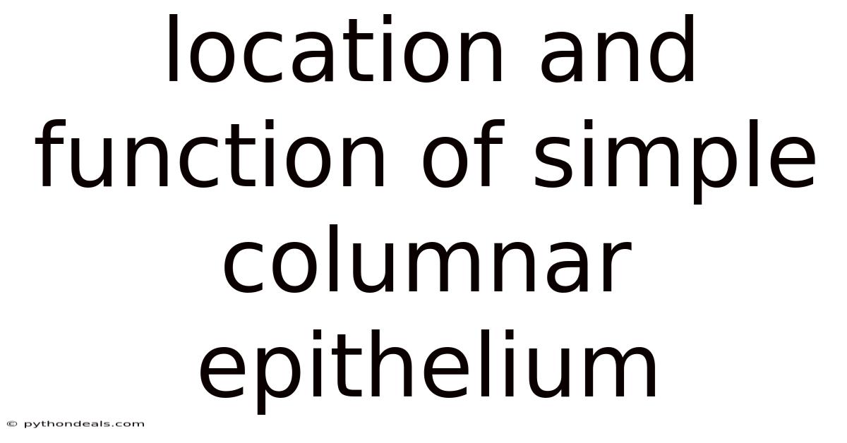 Location And Function Of Simple Columnar Epithelium
