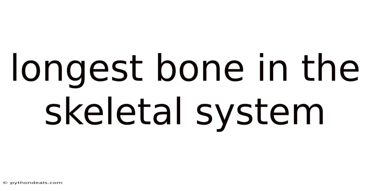 Longest Bone In The Skeletal System