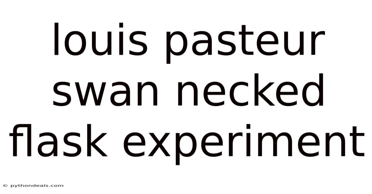 Louis Pasteur Swan Necked Flask Experiment