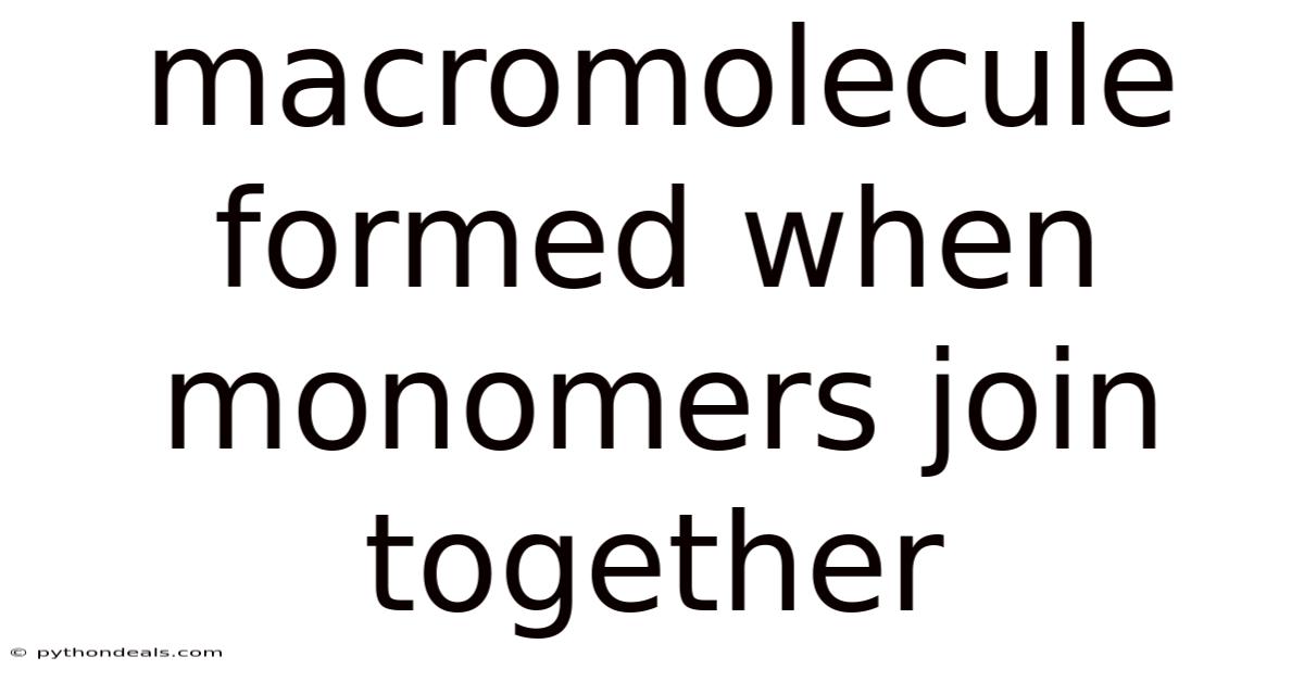 Macromolecule Formed When Monomers Join Together