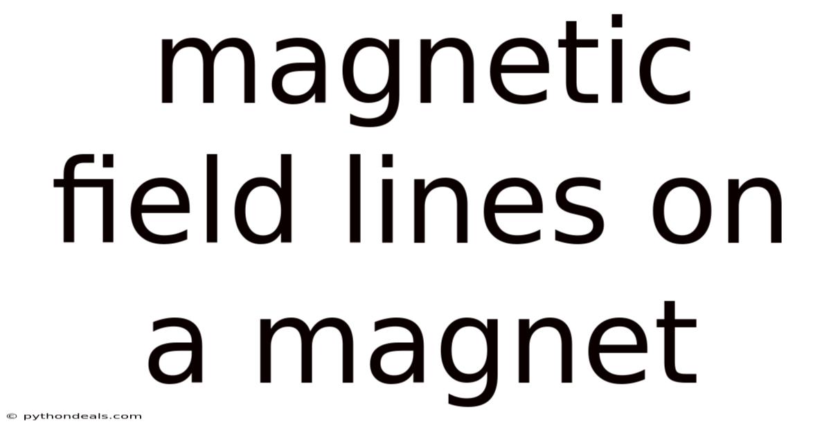 Magnetic Field Lines On A Magnet
