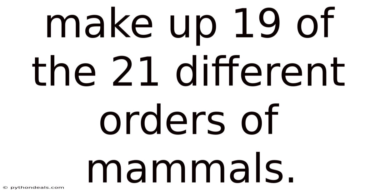 Make Up 19 Of The 21 Different Orders Of Mammals.