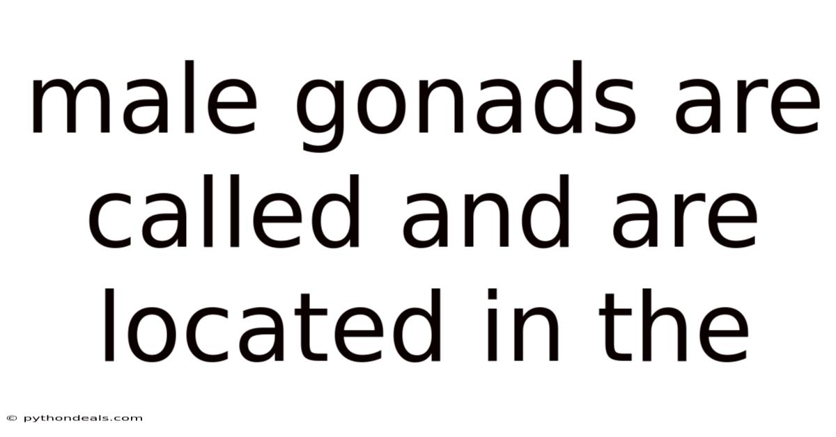 Male Gonads Are Called And Are Located In The