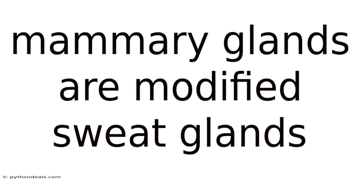 Mammary Glands Are Modified Sweat Glands