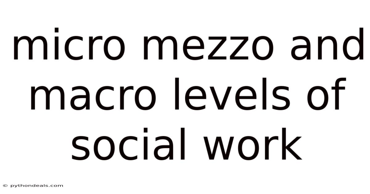 Micro Mezzo And Macro Levels Of Social Work