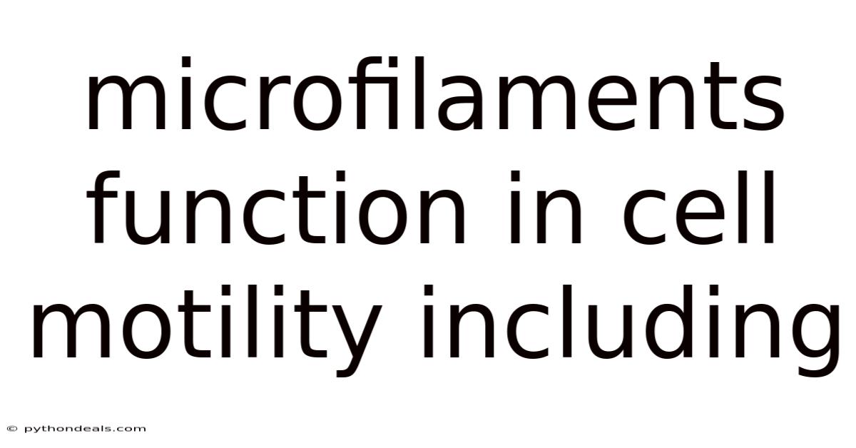 Microfilaments Function In Cell Motility Including