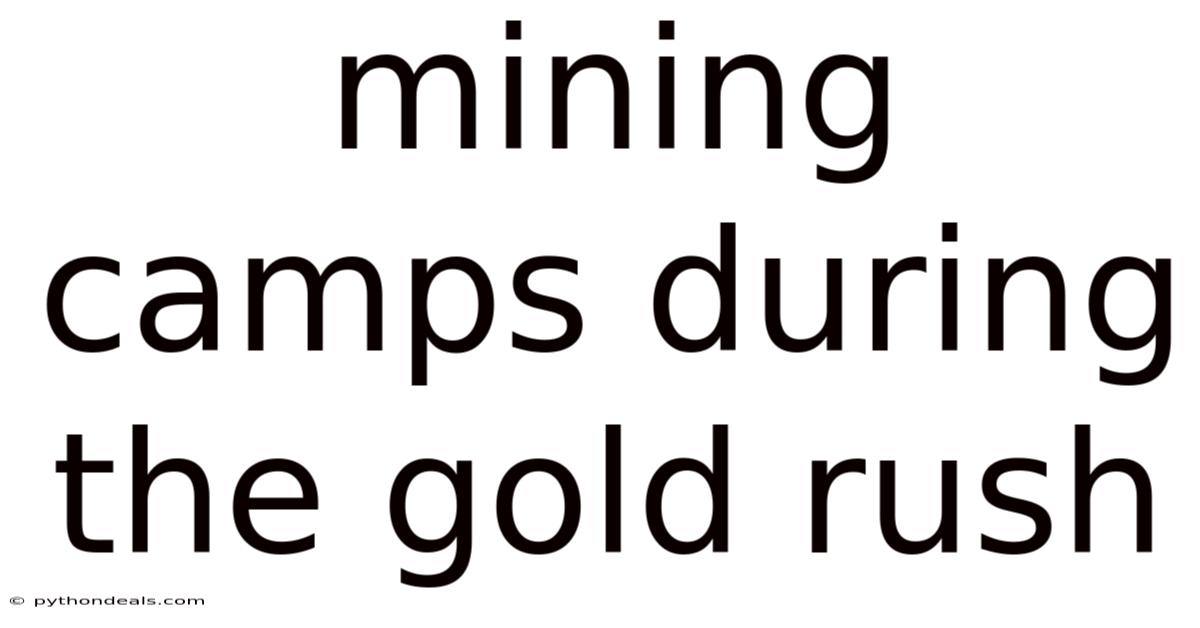 Mining Camps During The Gold Rush