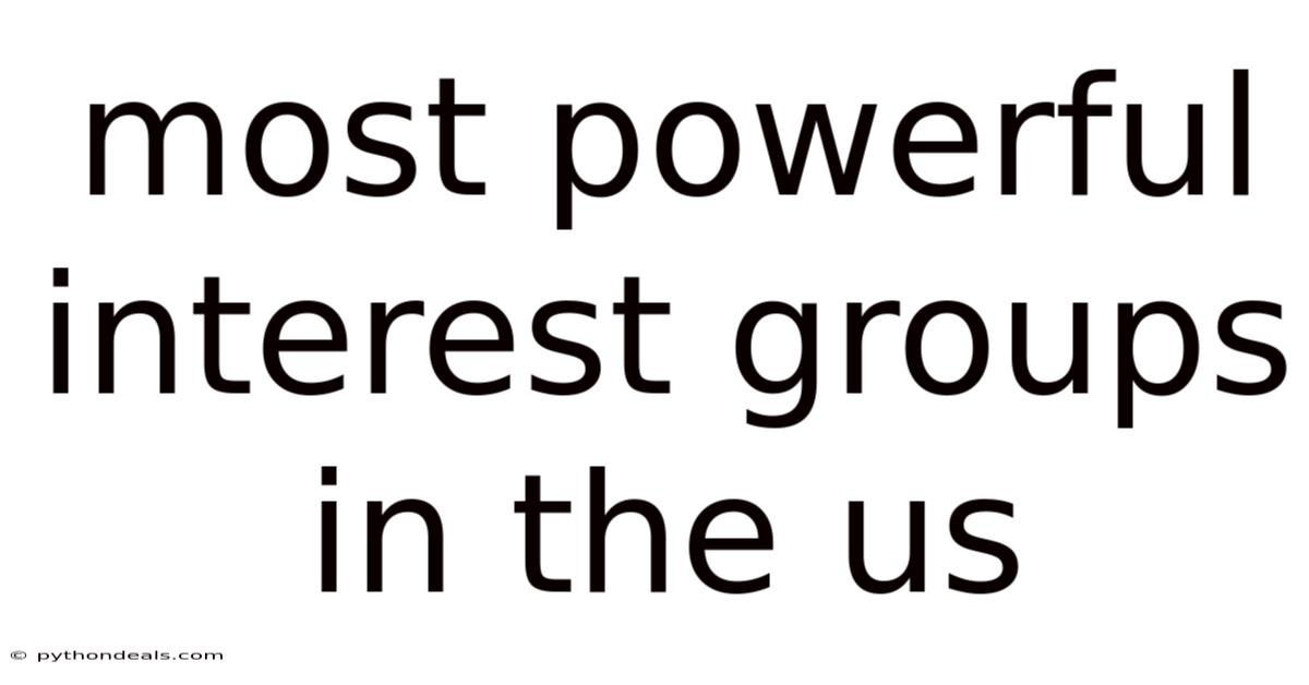 Most Powerful Interest Groups In The Us