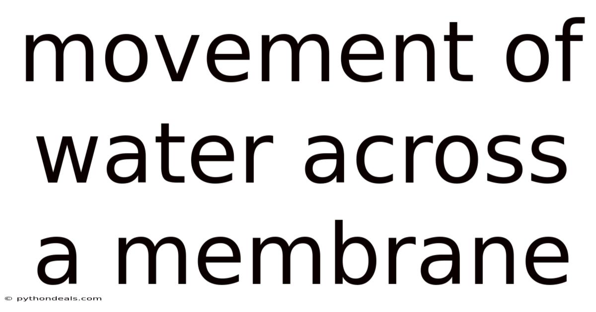 Movement Of Water Across A Membrane
