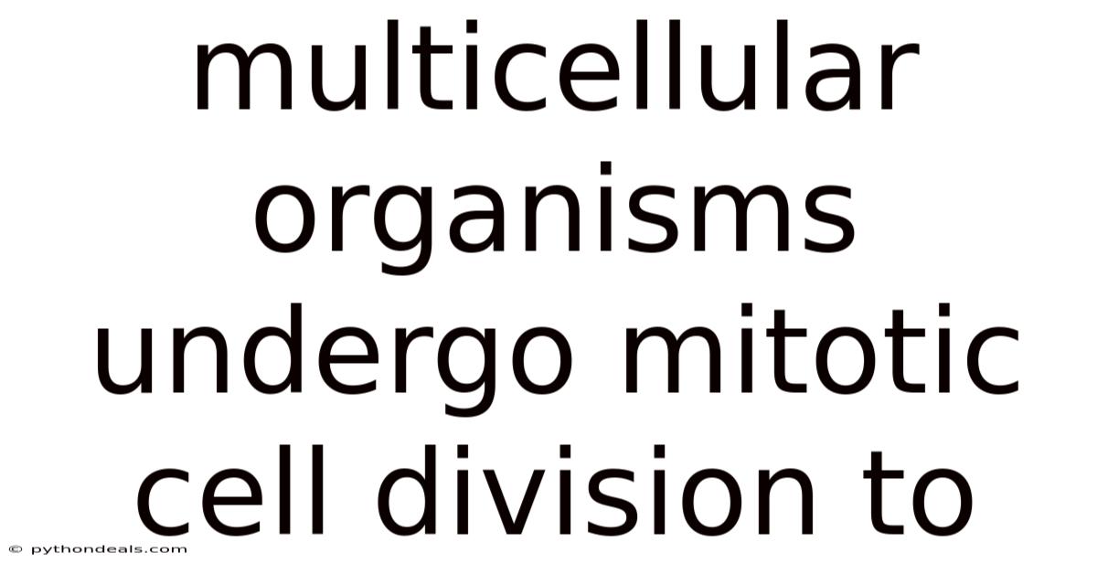Multicellular Organisms Undergo Mitotic Cell Division To